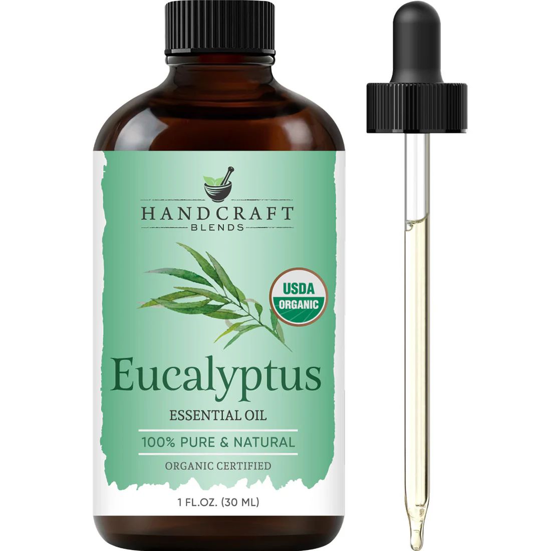 Eucalyptus