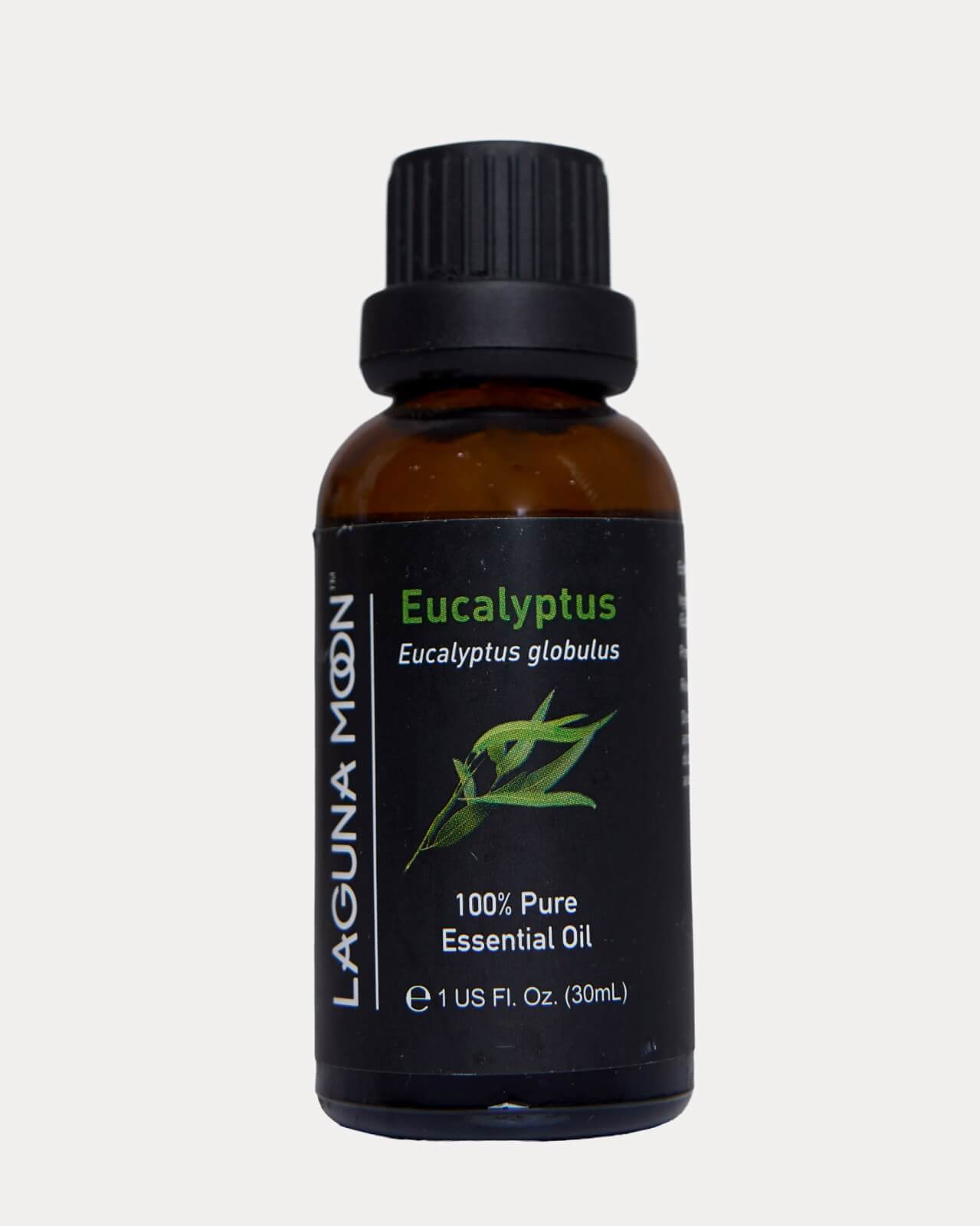 Eucalyptus