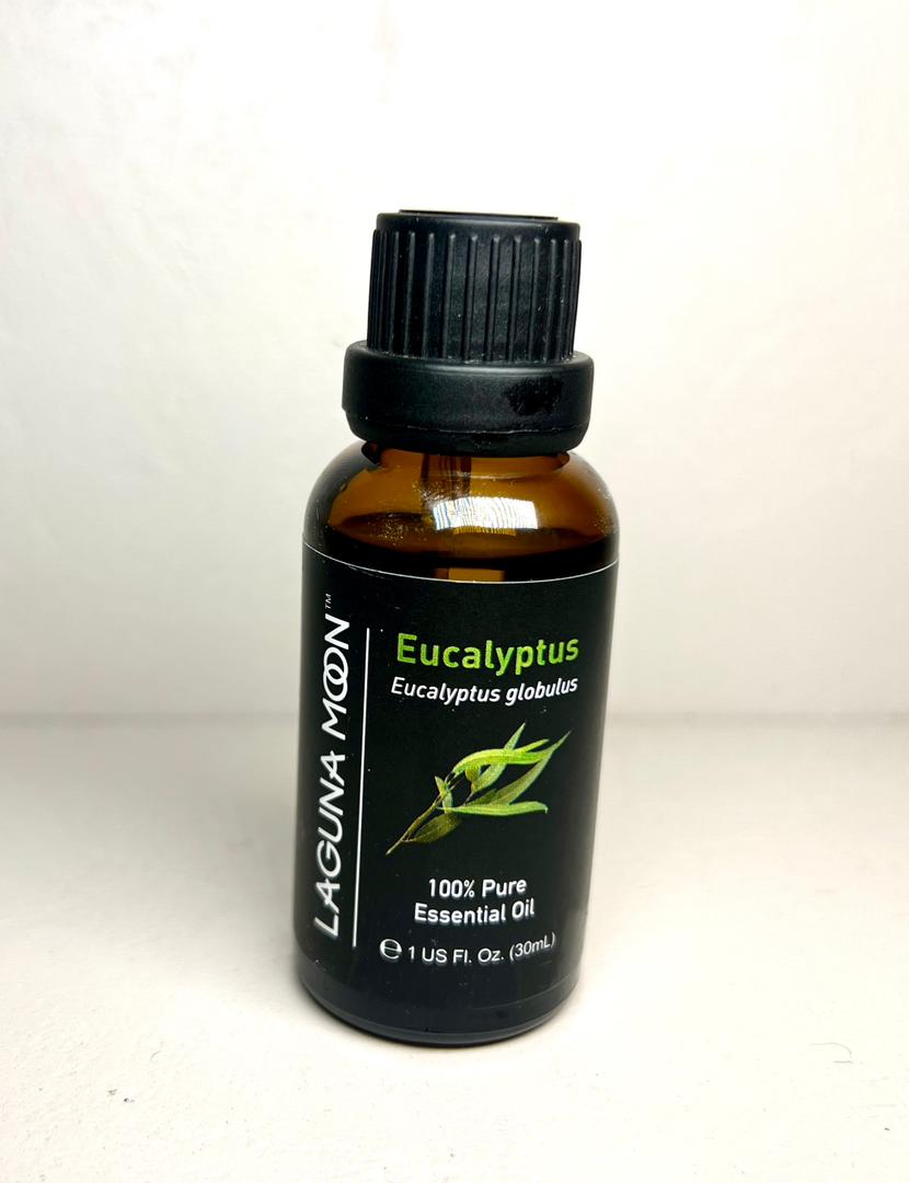 Eucalyptus