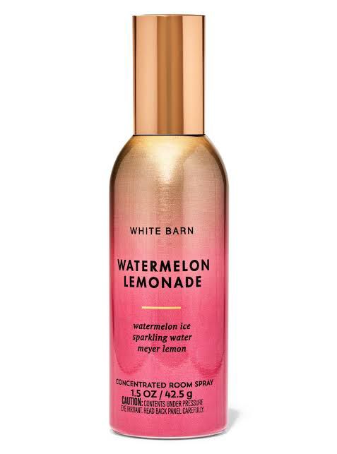 Watermelon Lemonade